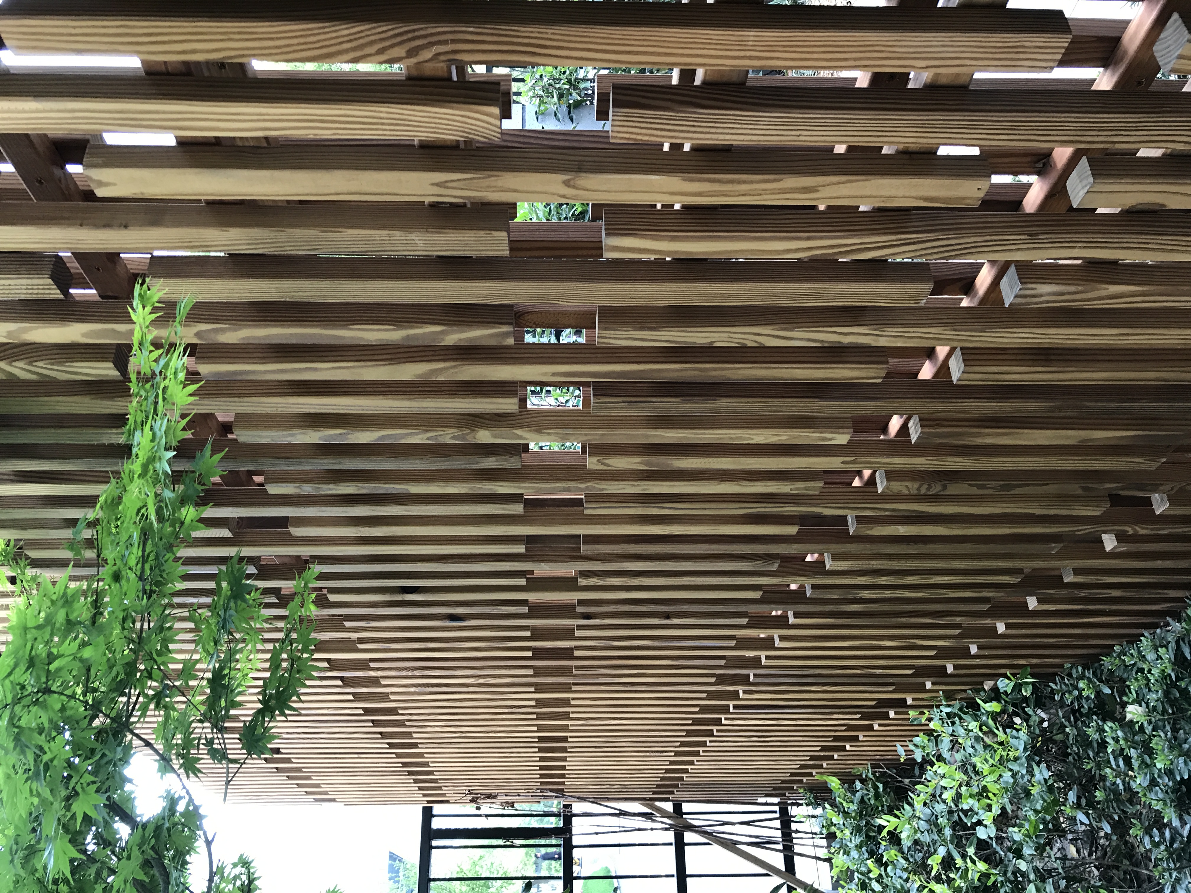 缩略图 4